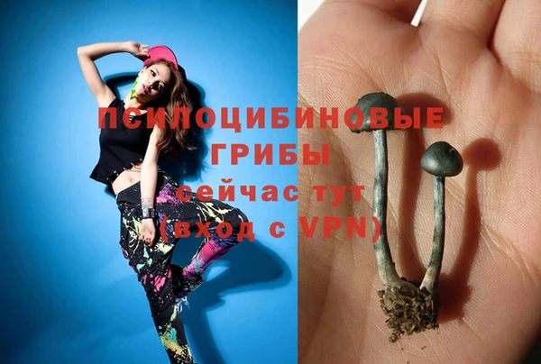 MDMA Premium VHQ Богданович